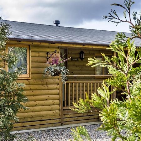 Laurel Lodge - 2 Bedroom Log Cabin - St Florence Saint Florence Extérieur photo
