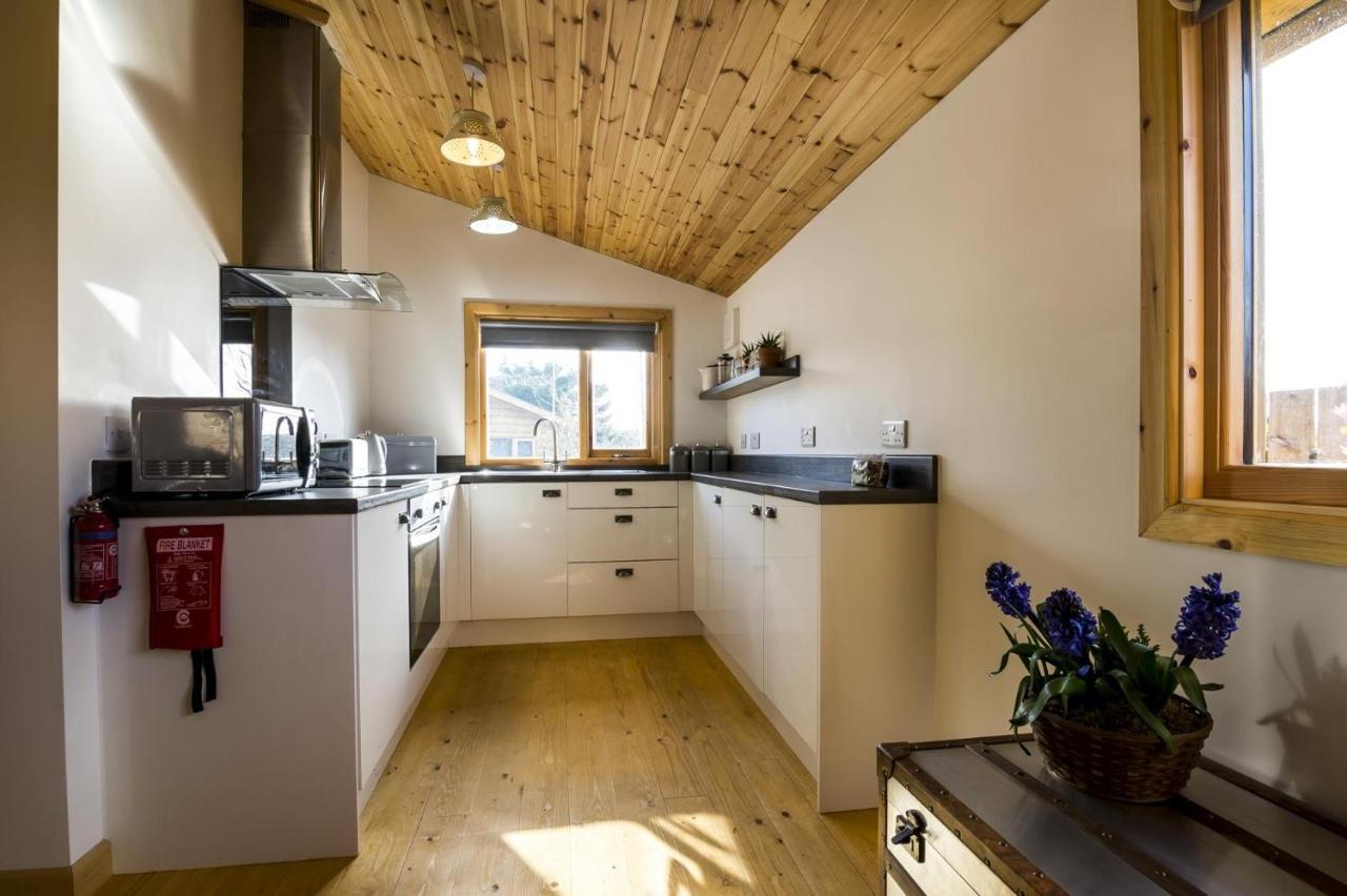 Laurel Lodge - 2 Bedroom Log Cabin - St Florence Saint Florence Extérieur photo