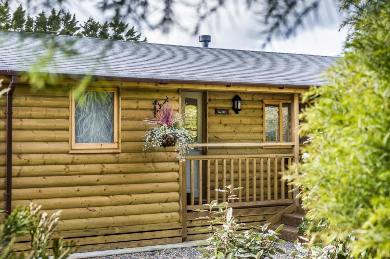 Laurel Lodge - 2 Bedroom Log Cabin - St Florence Saint Florence Extérieur photo